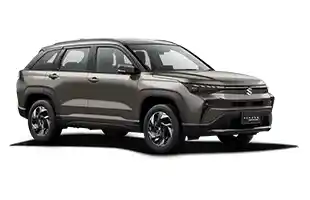 Suzuki Across Boostergreen GRIS LOBO